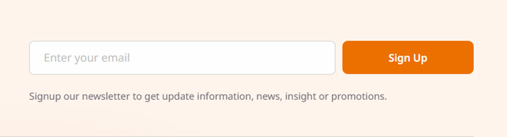 Newsletter Form