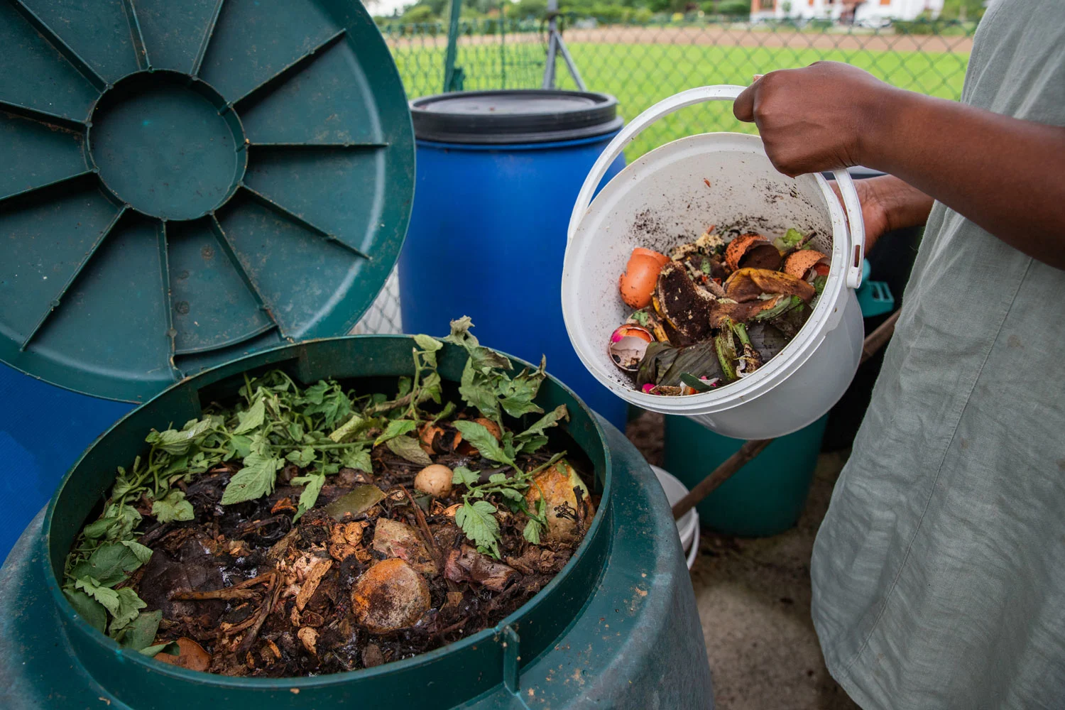 a-woman-empties-a-bucket-of-organic-waste-into-a-c-2025-03-10-01-00-35-utc2.webp